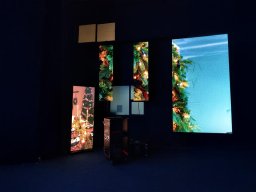 alive-visions-showoom-0001